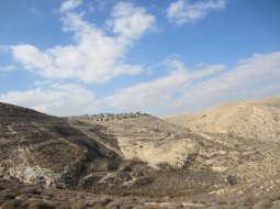 Judea Desert 